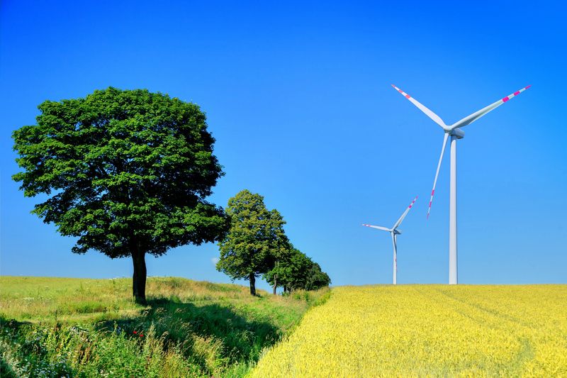 Éolien à Coaticook : la MRC adopte un cadre pour guider les futurs projets